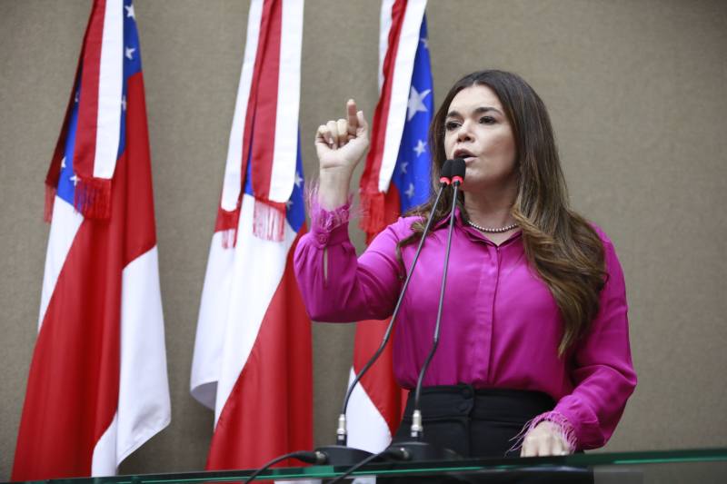 Aleam-no-Carnaval-Acoes-fazem-parte-da-programacao-da-Casa-Legislativa-Foto-Miguel-Almeida(2)