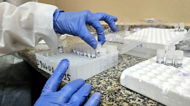 FVS-RCP_Informe-Virus-Respiratorios_FOTO-Girlene-Medeiros-FVS-RCP-1