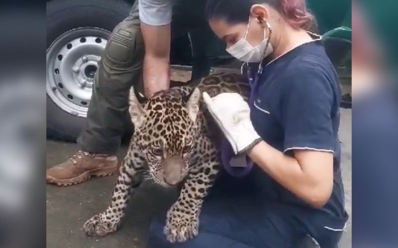 WhatsApp Image 2025-02-13 at 12.42.24