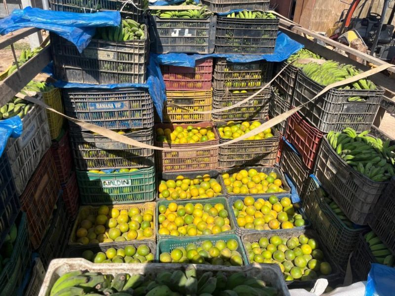 Adaf1-carga-de-laranjas-estava-oculta-sob-bananas-1024x768