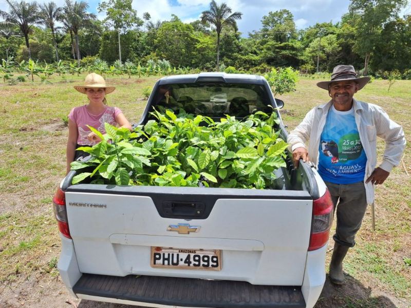 Idam_Crescimento-da-producao-cafeeira-no-Amazonas_Divulgacao-1-1024x768(1)