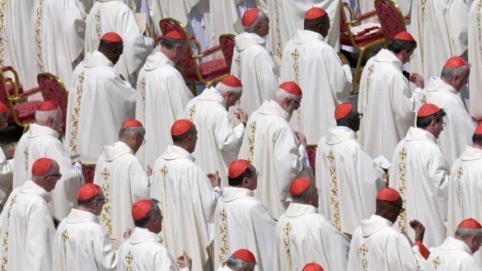 WhatsApp Image 2025-04-28 at 11.26.55