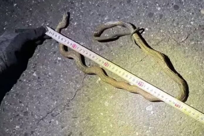 8520d38c40188f9cc5d888eb96e5856b