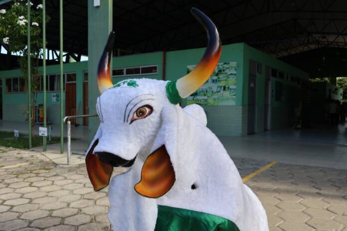 FUnATI_Boi-bumba-1568x1045