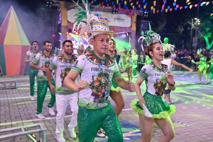 Festival folclórico (2)