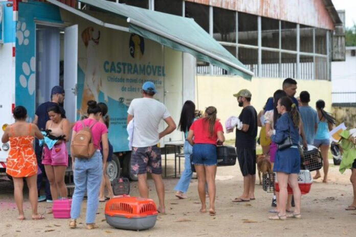 Sepet-3_foto-Divulgacao-Sepet-768x512