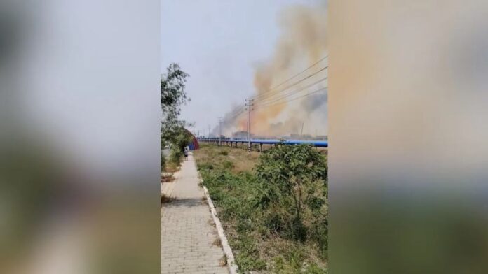 Web_Photo_Editor-4-1