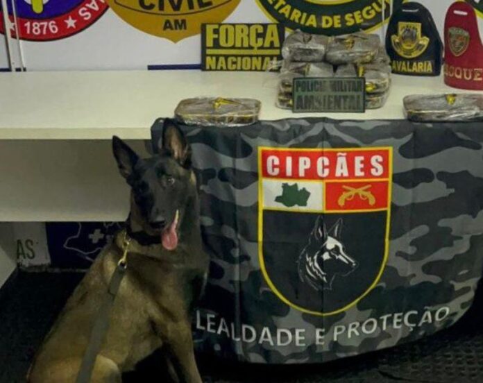 PC-AM_APREENSAO_BASE_ARPAO_FOTO_DIVULGACAO_SSP