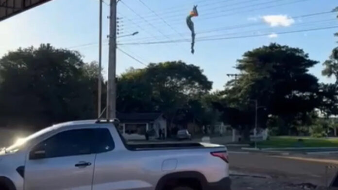 Tragedia-com-Balao-em-Santa-Catarina-3