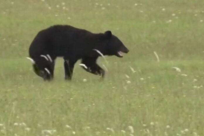 da275592a65f0ccec38285dddf70d3d1