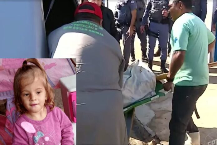 53c6822556c894633f9095b5e1e04151