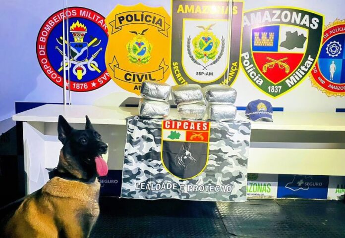 APREENSOES_BASE_ARPAO_FOTOS_DIVULGACAO_SSP_AM-2
