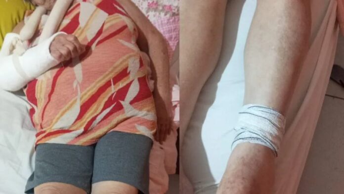 Design-sem-nome-40-1