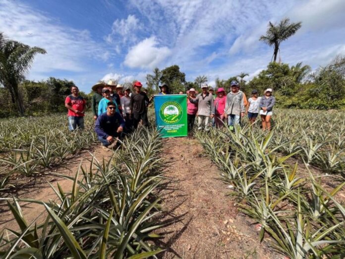 Idam-Demonstracao-de-metodos-em-Barreirinha-Foto-Divulgacao-Idam-1024x768(1)