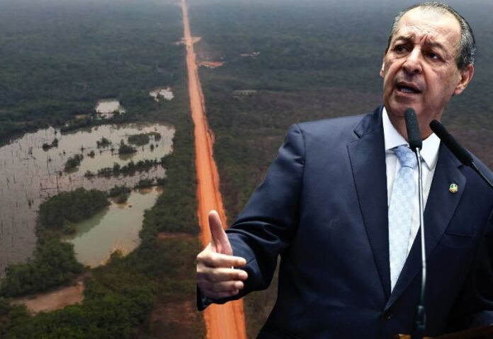 WhatsApp Image 2025-07-09 at 07.32.02