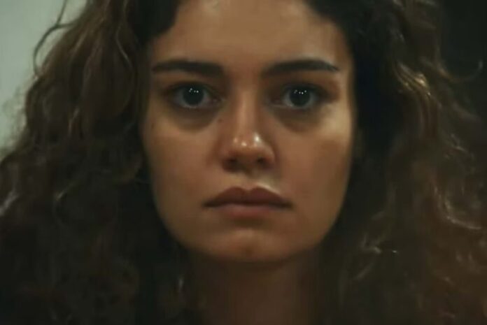 b223b6c8b5ab5e7cde98e8e08b5fdfe4