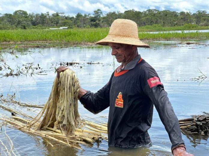 ADS_Subvencao-da-Juta-e-Malva_Foto-Jhonny-Marques-1024x768(2)