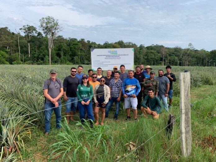 Idam_Capacitacao-boas-praticas-do-abacaxi-em-Novo-Remanso_Fotos-Divulgacao-1-1024x768