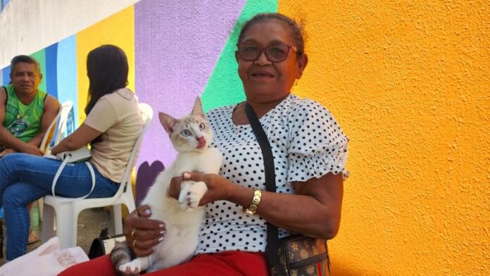 SEMSA MANAUS Castramóvel Zona Leste (2) (1)