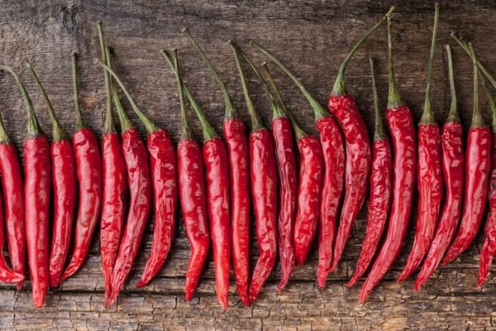 image - 2025-08-09T232829.306