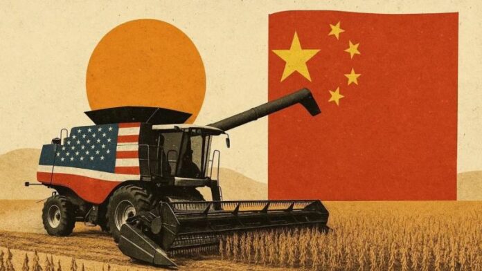 image - 2025-08-11T222613.382