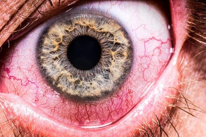 image - 2025-08-24T161134.675