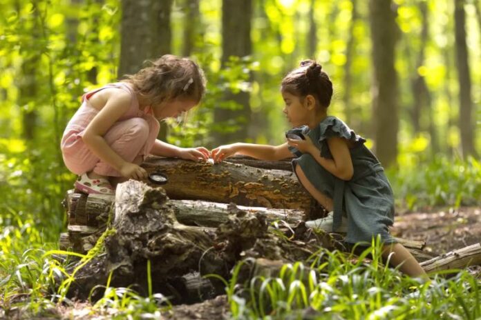 image - 2025-08-24T162456.127