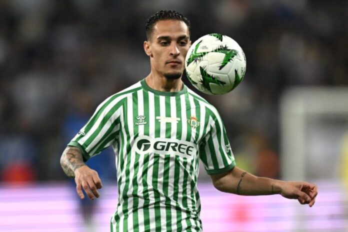 image - 2025-08-26T104329.122