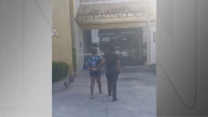 Menino de 4 anos é deixado sozinho em casa, vai à BR-101 e avó é presa • Reprodução