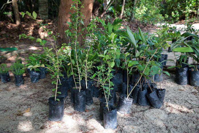 54798533590_c2b9b88b9b_c