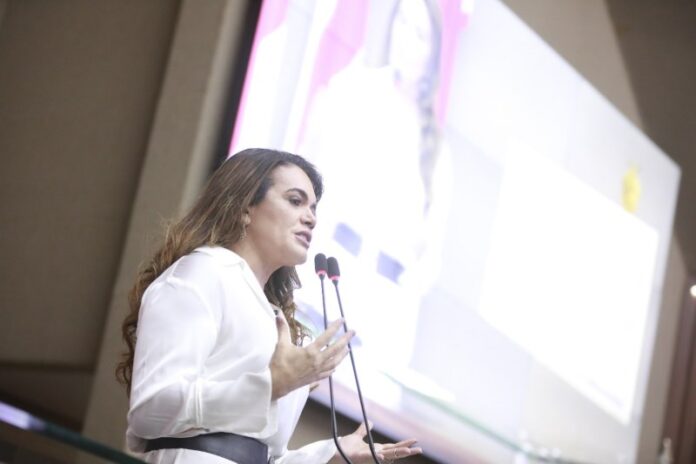 Assembleia-Legislativa-do-Amazonas-apresenta-dados-do-Observatorio-da-Mulher-Foto-Danilo-Mello-Aleam