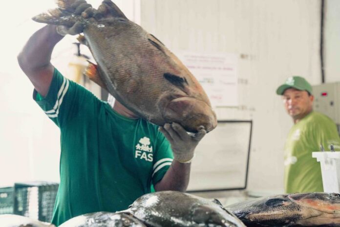 Créditos - Lucas Bonny_FAS (1)(1)