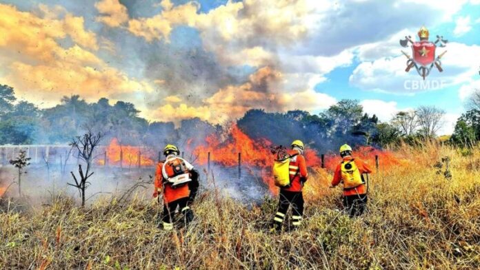 DF tem a 3ª maior queimada do ano; equivalente a 574 campos de futebol