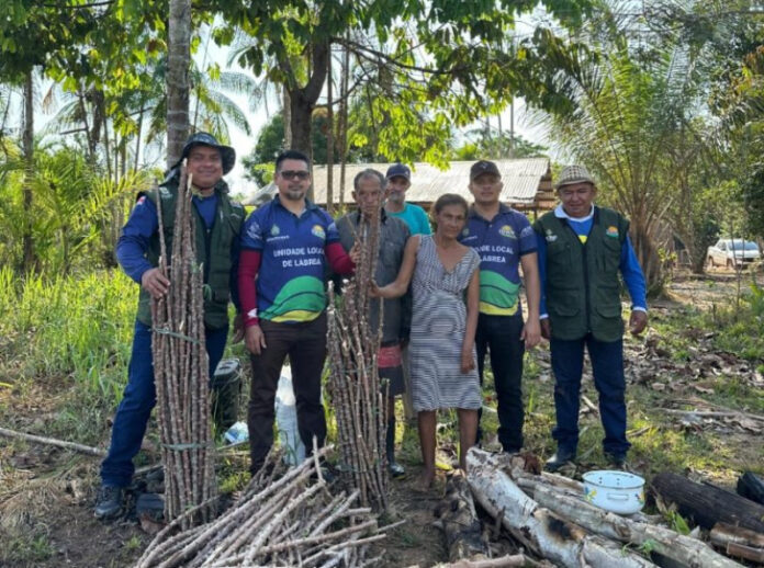 Idam_Implantacao-de-UD-de-Mandioca-em-Labrea_Fotos-divulgacao-1-768x1024