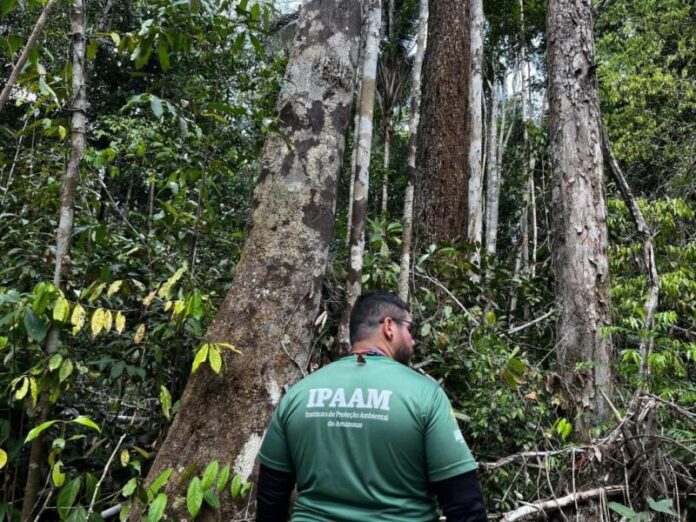 Ipaam_Fiscalizacao-da-Gerencia-de-Controle-Florestal_Foto_Ipaam-Arquivo-04-09-2025-03-1024x768 (2)