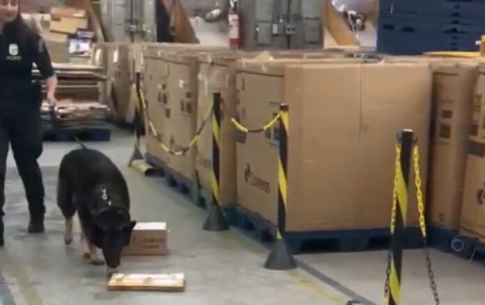 Tráfico de drogas pelos Correios é alvo de operação no PR; 23 são presos