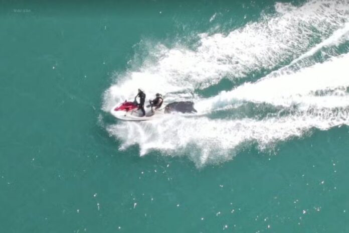 image - 2025-09-15T091251.894