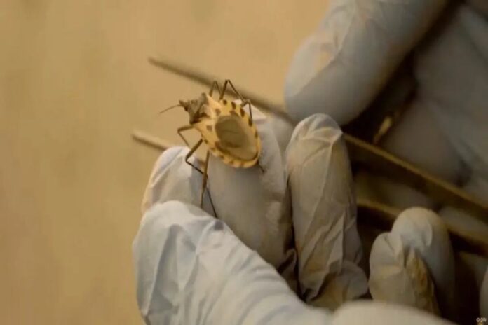 image - 2025-09-25T093544.269