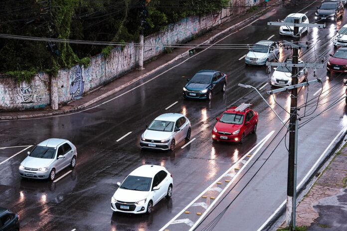 54855728624_ed47d9d37a_c