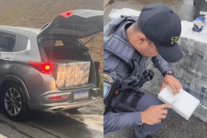 SP_ homem é preso transportando carga de R$ 6 milhões com cocaína
