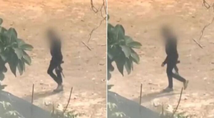 image - 2025-10-19T105741.991