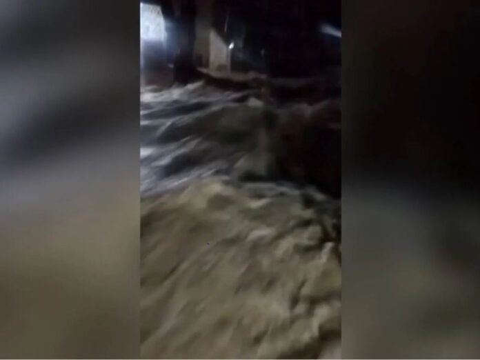 image - 2025-10-29T115455.304