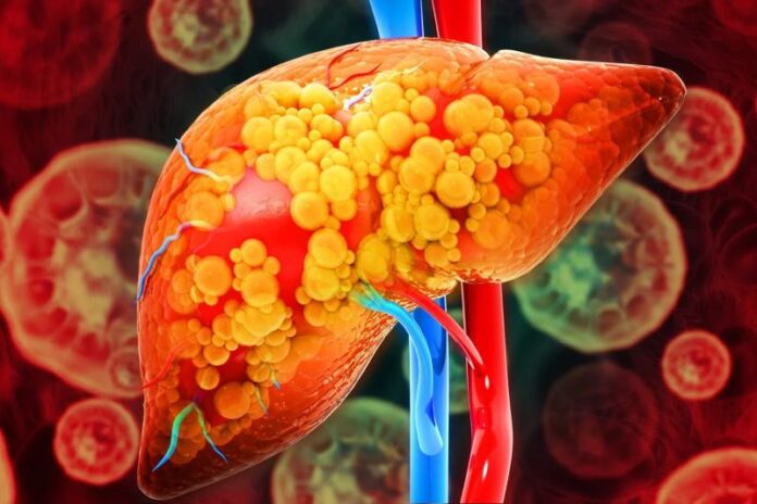 image - 2025-10-30T231712.387