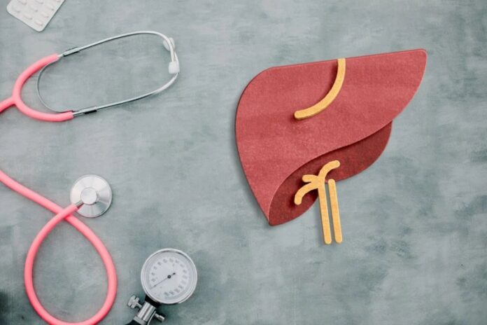 imagem-ilustrtaiva-de-um-figado