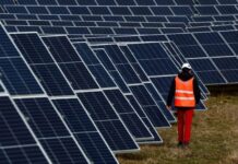 15 milhões de empregos verdes podem ser criados até 2050, diz estudo