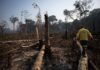 COP30: Governo e BNDES anunciam projeto para frear o desmatamento