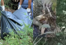 Corpo com sinais de tortura é encontrado em área de mata no bairro Tarumã, em Manaus