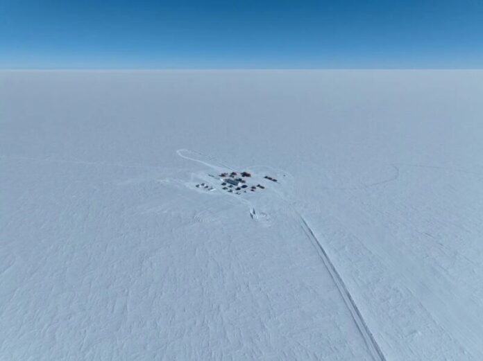 Como um 'mini-camarão' se tornou ponto chave para o futuro da Antártica