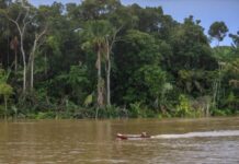 Estudo aponta que financiamento climático “ignora” transição justa