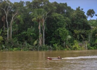 Estudo aponta que financiamento climático “ignora” transição justa